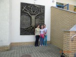DSC05247